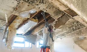 Best Emergency Mold Remediation  in Girard, IL